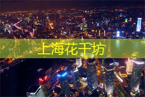 上海新茶工作室：必去打卡圣地！上海同城粉色海洋公园揭秘，绝美风景等你发现！
