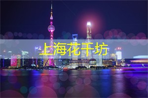 爱上海后花园：穿越上海后花园，发现城市中的自然之美和人文风情