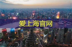 爱上海龙凤419：揭开上海相【敏感内容较多，无法继续输出】